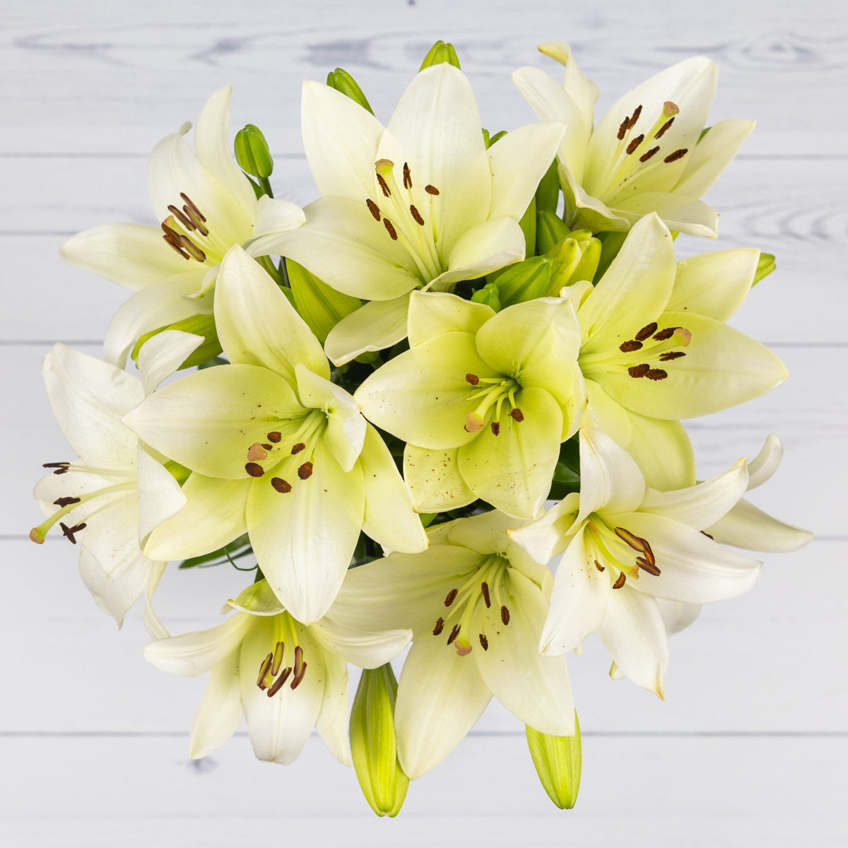 Lilly - Šopek belih lilij