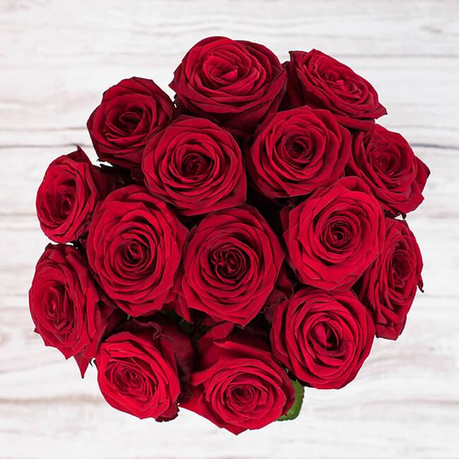 Anna - Šopek z rdečimi vrtnicami